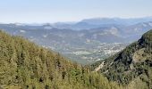 Trail Walking Seyne - SEYNES LES ALPES . Grand puy , montagne de la Blache , cabane du Mulet o l s - Photo 7