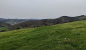 Tour Wandern Vindry-sur-Turdine - Autour de Saint loup  - Photo 14