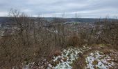 Tocht Stappen Hamoir - Chateau de Lassus - croix du Berger - Photo 12