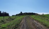 Excursión Senderismo Aydat - Pessade depuis la Garandie - Photo 14