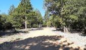 Tour Wandern Vitrolles-en-Luberon - vitrolles en Lubéron. aire des mascas - Photo 6