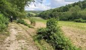 Tour Wandern Valorbiquet - La rando de Rollon - Photo 20