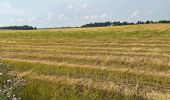 Tour Wandern Incourt - #230721 - Roux-Miroir - GR 579 - Photo 4