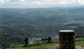 Tour Wandern Bort-les-Orgues - Tour des orgues à Bort les Orgues - Photo 8