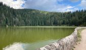 Excursión Senderismo Le Valtin - Le lac vert - Photo 13