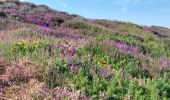 Randonnée Marche Plévenon - BOUCLE DEPUIS PLENEVON AVEC CAP FREHEL ET FORT LA LATTE - Photo 9