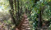 Tocht Stappen Le Buisson-de-Cadouin - Le Buisson de C. 14km - Photo 2