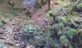 Trail Walking Ornans - Ornans cascade Boneille - Photo 3