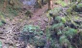 Tour Wandern Ornans - Ornans cascade Boneille - Photo 3