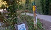 Tour Wandern Sainte-Eulalie-en-Royans - Cascade blanche et Cascade verte - Photo 1