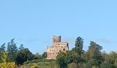 Randonnée Vélo électrique Sélestat - Sélestat eckbo - Photo 8