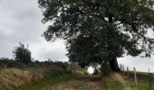Trail Walking Verviers - petit tour dans la campagne d´Heusy - Photo 8