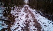 Trail Walking Besançon - BESANÇON Forts de CHAUDANNE; Rosemont et de Planoise - Photo 9