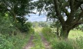 Randonnée Marche Thuin - Thuin vallée de la Biesmelle 16 km - Photo 12