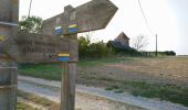 Tour Wandern Cerelles - Cérelles - Circuits 2 puis 1 - 18.9km 255m 4h05 - 2020 09 11 - Photo 5