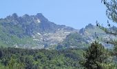 Tour Wandern Vivario - cascade  de manganello et de meli - Photo 1