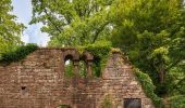 Randonnée A pied Eberbach - Rundwanderweg 3: Burg-Eberbach-Weg - Photo 1