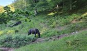 Tocht Stappen Mendive - Col etari - Photo 6