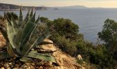 Trail Walking Bandol - Boucle Bandol - Port d'Alon - Dune de sable - La Madrague - Port d'Alon - Bandol - Photo 11