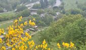 Percorso Marcia Bertrix - rando auby sur semois 7-05-2025 - Photo 18