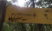 Trail Walking La Palud-sur-Verdon - sentier blanc Martel depuis Chalet les Malines - Photo 3