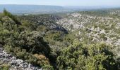 Tour Wandern Gordes - abbaye de senanque par gordes - Photo 10