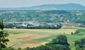 Tocht Te voet Markgröningen - DE-SAV Rotes Kreuz, von - nach? - Photo 3