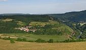 Percorso A piedi Waldböckelheim - Waldböckelheimer 