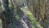 Tour Wandern Seneffe - BE-Seneffe - Petit Moulin - Ancien canal - Ecluses 20 et 19 - Photo 17