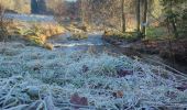 Randonnée Marche Houffalize - Wibrin - Photo 9