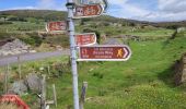 Excursión Senderismo West Cork - Ardgroom -  Eyeries - Photo 10