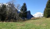 Trail Walking Faverges-Seythenex - POINTE DE VELAN bis  - Photo 4