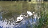 Tour Wandern Maisons-Alfort - Mausobs Alfort bois de Vincennes  - Photo 13