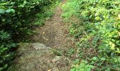 Tocht Stappen Nogent-le-Bernard - Nogent-le-Bernard - Menhir de Courtevrais - Photo 11