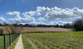 Trail Walking Oudenaarde - Edelare 18,8 km - Photo 17
