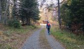 Tocht Stappen Séchilienne - Lac de Luitel - Pic de l'oeilly  - Photo 19