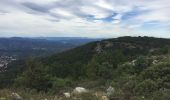 Tour Wandern Grasse - Plateau de la malle - Photo 3