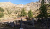 Trail Walking Chorges - Circuit Col de Chorges/Tête des Parias/La Pousterlle/Col de la Gardette. 27/09/19. - Photo 13