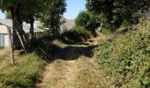 Randonnée Marche Saint-Chély-d'Aubrac - Compostelle / Chemin du Puy : de Aubrac à Bonneval - Photo 9