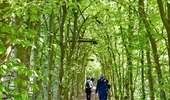 Tour Wandern Welkenrath - suuntoapp-Walking-2026-04-25T08-06-02Z - Photo 1