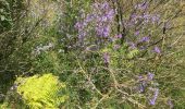 Tour Wandern Les Plans - Forêt domaniale d'Escandorgue par Roqueredonde et l'Engayresque - Photo 5