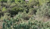 Trail Walking Roquebrune-sur-Argens - z la Bouverie 17-09-24 - Photo 4