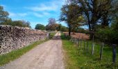 Excursión Senderismo Baume-les-Dames - PONT LES MOULINS - Photo 3