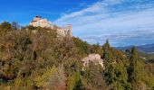 Tour Wandern Piégros-la-Clastre - Piegros la Clastre - Photo 3