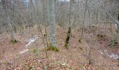 Tour Zu Fuß Gomadingen - Traufgang Hossinger Leiter - Photo 9