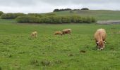 Randonnée Marche Marchastel - [06] Compostelle : de Marchastel / Nasbinals à Saint-Chély-d'Aubrac - Photo 20