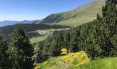 Tour Wandern Torla-Ordesa - Torla collado del cebolar 16 km 1000 m den - Photo 10
