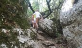 Trail Walking Berrias-et-Casteljau - Wikiloc Bois de Paiolive (PVDB) - Photo 2