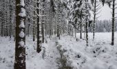 Randonnée Marche Stavelot - Hockai - Le Trôs Maret - La Fagne du Fraineu - Photo 5