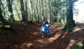 Trail Walking Bellefontaine - 26-10-19 Pierrache - Photo 9